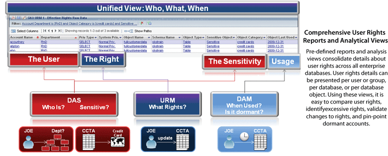 Comprehensive User Rights Reports and Analytical Views